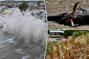 Super El Niño breaks record months before peak as scientists warn of worst season in 1,000 years